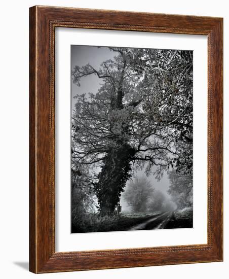 Viloo-Tim Kahane-Framed Photographic Print