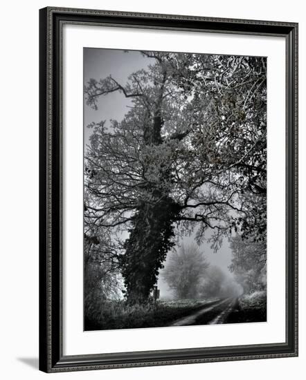 Viloo-Tim Kahane-Framed Photographic Print