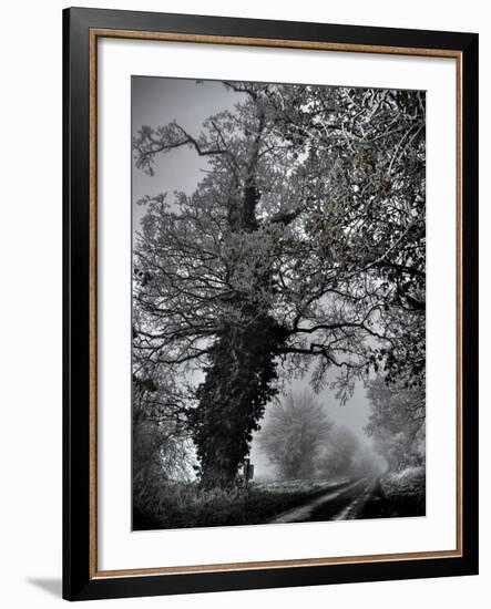 Viloo-Tim Kahane-Framed Photographic Print