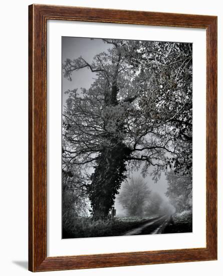 Viloo-Tim Kahane-Framed Photographic Print