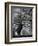 Viloo-Tim Kahane-Framed Photographic Print