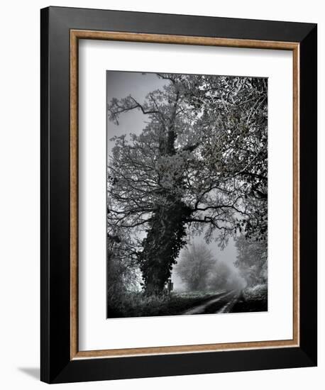 Viloo-Tim Kahane-Framed Photographic Print