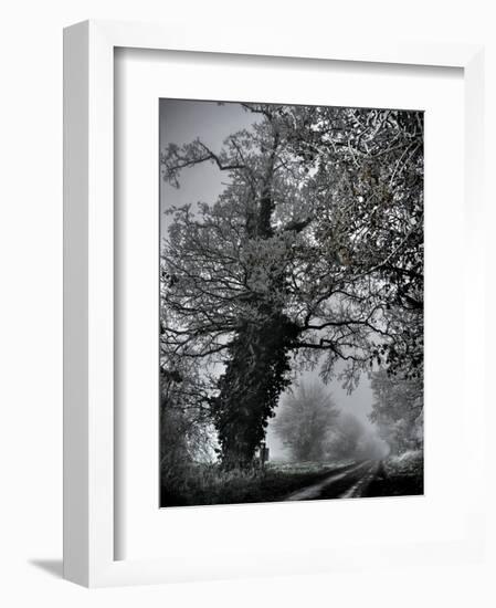 Viloo-Tim Kahane-Framed Photographic Print