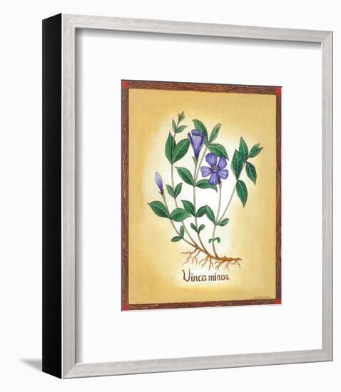 Vinca Minor-Urpina-Framed Art Print