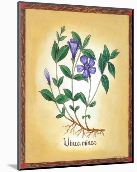 Vinca Minor-Urpina-Mounted Art Print