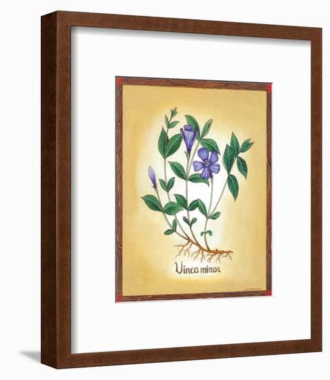 Vinca Minor-Urpina-Framed Art Print