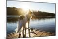 Photographic Print