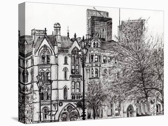 Stretched Canvas Print, , large