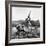 Vincent Auriol, Blasting Away at Pheasants-Dmitri Kessel-Framed Photographic Print