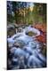 Photographic Print
