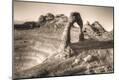 Photographic Print