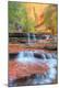 Photographic Print