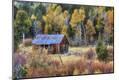 Photographic Print