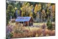 Photographic Print