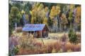 Photographic Print