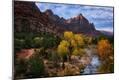 Photographic Print