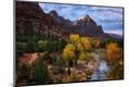 Photographic Print