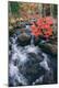Premium Photographic Print