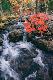 Premium Photographic Print