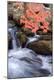 Premium Photographic Print