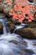 Premium Photographic Print