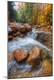Photographic Print