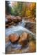 Photographic Print