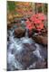Premium Photographic Print