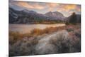 Photographic Print