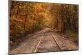 Photographic Print