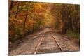 Photographic Print