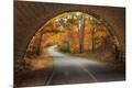 Photographic Print