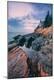 Photographic Print