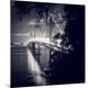 Premium Photographic Print