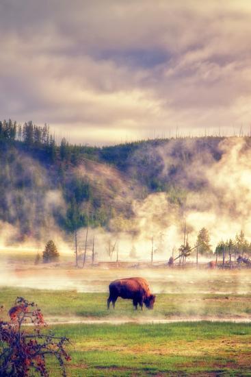Photographic Print, , large