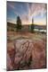 Photographic Print