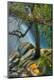 Premium Photographic Print