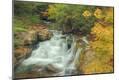 Photographic Print