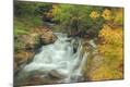 Photographic Print