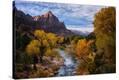 Stretched Canvas Print