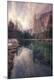 Photographic Print