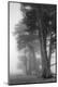 Premium Photographic Print