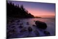 Photographic Print