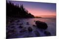 Photographic Print