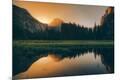 Premium Photographic Print