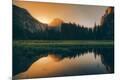 Photographic Print