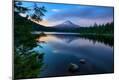 Photographic Print