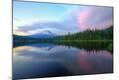 Photographic Print