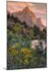 Premium Photographic Print
