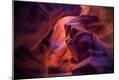 Premium Photographic Print